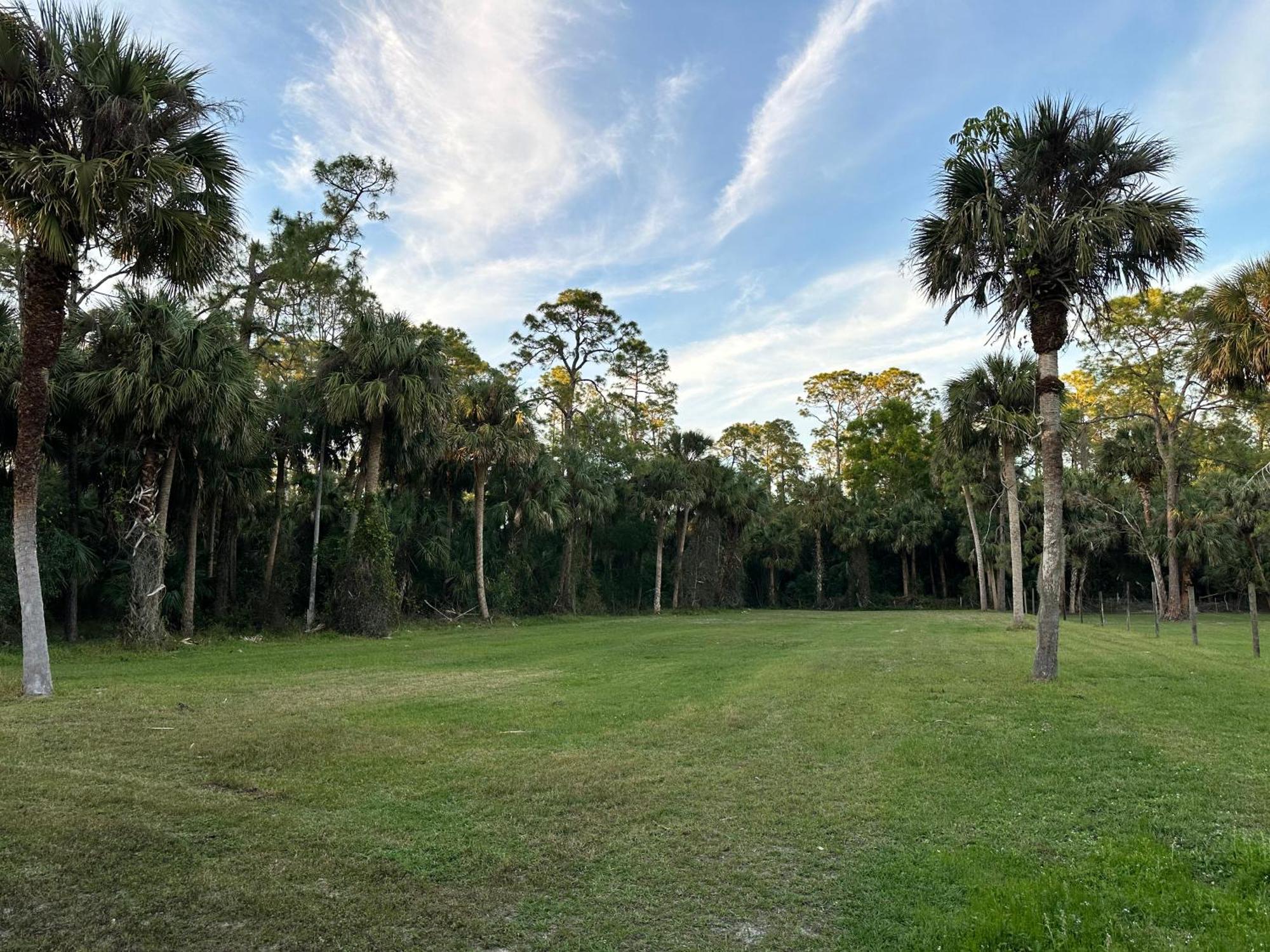 Vacation Pool Home In The Woods. North North Naples المظهر الخارجي الصورة